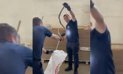 TOSYA'DA FABRİKAYA GİREN YILANI İTFAİYE EKİPLERİ ÇIKARDI