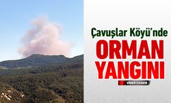 SAFRANBOLU ÇAVUŞLAR KÖYÜ MEVKİİNDE ORMAN YANGINI