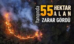 ORMAN YANGININDA 55 HEKTAR ALAN ZARAR GÖRDÜ