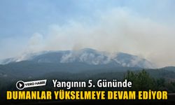 YANGININ 5'İNCİ GÜNÜNDE DUMANLAR YÜKSELMEYE DEVAM EDİYOR