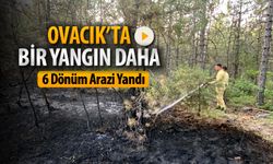 OVACIK ABDULLAR KÖYÜNDE YANGIN