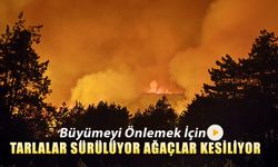 YANGINI ÖNLEMEK İÇİN TARLALAR SÜRÜLÜYOR AĞAÇLAR KESİLİYOR
