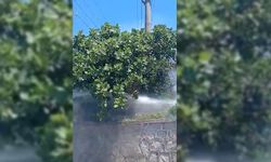 YÜKSEK GERİLİM HATTINA KONAN KARGA YANGIN ÇIKARDI