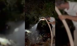 ZONGULDAK'TA YOL KENARINA ATILAN ÇÖPLER YANGINA NEDEN OLDU