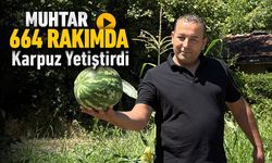 MUHTAR 664 RAKIMDA KARPUZ YETİŞTİRDİ