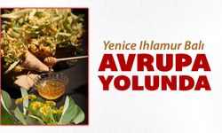 YENİCE IHLAMUR BALI AVRUPA YOLUNDA