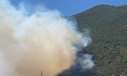 BARTIN'DA ORMAN YANGINI