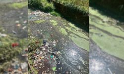 ALAPLI'DA DEREDEN SU DEĞİL ÇÖP AKIYOR