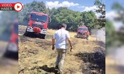EFLANİ'DE ANIZ YANGINI