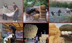 YANGIN SONRASI TARIM VE HAYVANCILIĞA TAM DESTEK
