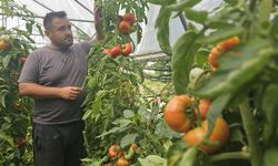BABA MESLEĞİNİ BIRAKTI 25 YILDIR TARIMLA UĞRAŞIYOR