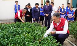 BAKAN YARDIMCISI EMİNOĞLU TARLADA GENÇLERLE HASAT YAPTI