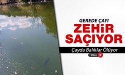 GEREDE ÇAYI ZEHİR SAÇIYOR