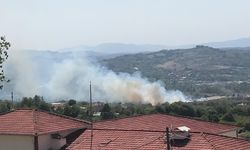 BARTIN'DA PEŞ PEŞE YANGINLAR ÇIKTI