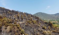 BARTIN'DAKİ ORMAN YANGINININ TAHRİBATI HAVADAN GÖRÜNTÜLENDİ