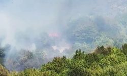 BARTIN'IN AMASRA İLÇESİNDE ORMAN YANGINI