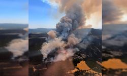 BOLU ORMAN YANGININDA 1 KİŞİ TUTUKLANDI
