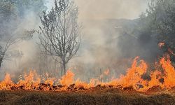 BOLU'DA BİDONLA AKARYATIK SATIŞI YASAKLANDI