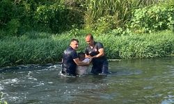 BOLU'DA ÇAYA ATLAYAN VATANDAŞI EKİPLER KURTARDI