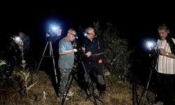 BOLU'DA FOTOĞRAF TUTKUNLARININ PERSEİD MESAİSİ