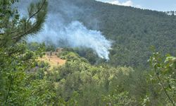 BOLU'DA ORMANLIK ALANDA YANGIN BAŞLADI