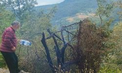 ÇATALZEYTİN'DE ÇIKAN ORMAN YANGINI KONTROL ALTINA ALINDI