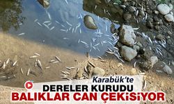 KARABÜK’TE DERELER KURUDU, BALIKLAR CAN ÇEKİŞİYOR