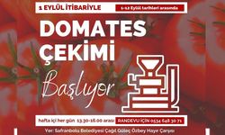 SAFRANBOLU’DA DOMATES ÇEKİMİ 1 EYLÜL’DE BAŞLIYOR