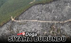 DOĞA SİYAHA BÜRÜNDÜ