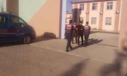 DÜZCE'DE 79 ŞAHIS YAKALANDI 16'SI TUTUKLANDI