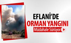 EFLANİ'DE ORMAN YANGINI BAŞLADI