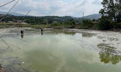 GÖLETTE CAN ÇEKİŞEN ONLARCA BALIK KURTARILDI