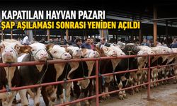 KARABÜK’TE HAYVAN PAZARI ŞAP AŞILAMASI SONRASI YENİDEN AÇILDI