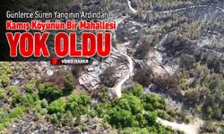 GÜNLERCE SÜREN YANGINDA KÖYÜN BİR MAHALLESİ YOK OLDU