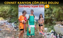 YENİCE ORMANLARINDA ÇEVRE ALARMI