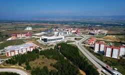 KASTAMONU ÜNİVERSİTESİNDE TAYLARIN BAĞIŞIKLIK SİSTEMİ ARAŞTIRILACAK