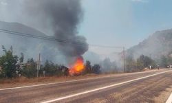 KASTAMONU'DA TARLADA ÇIKAN YANGIN SAMANLIĞI KÜL ETTİ