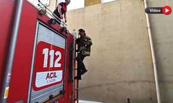 BALKONDA MAHSUR KALAN KEDİ KURTARILDI
