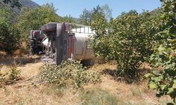 MUDURNU'DA TIR FINDIK BAHÇESİNE DEVRİLDİ