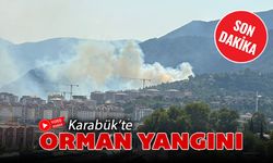 KARABÜK'TE ORMAN YANGINI