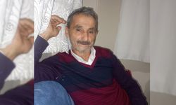 PINARBAŞI'NDA ÜSTÜNE AĞAÇ DEVRİLEN ADAM HAYATINI HAYBETTİ
