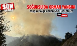 SOĞUKSU'DA ORMAN YANGINI BÖLGESİNDEN SON GÖRÜNTÜLER