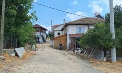 SÜT SAĞARKEN AKIMA KAPILAN KADIN HAYATINI KAYBETTİ