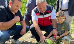 İL MÜDÜRÜ ÖNDER EFLANİ'DE KARPUZ ÜRETİCİLERİNİ ZİYARET ETTİ
