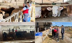 İL MÜDÜRÜ YASİN ÖNDER EFLANİ’DE ÜRETİCİLERLE BULUŞTU