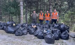 TOSYA'DAKİ ORMANLARDAN 200 TORBA ÇÖP TOPLANDI