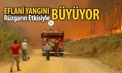 EFLANİ YANGINI RÜZGARIN ETKİSİYLE BÜYÜYOR