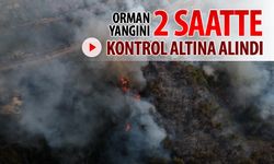 ORMAN YANGINI KONTROL ALTINA ALINDI