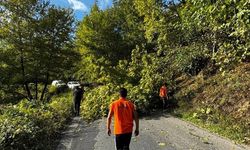 ALAPLI'DA YOLA DEVRİLEN AĞACI VATANDAŞLAR KALDIRDI