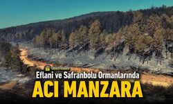 ORMAN YANGINLARINDA ACI MANZARA